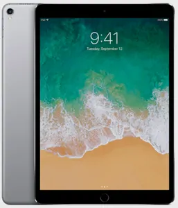 Ремонт iPad Pro 9.7' (2016) в Ижевске